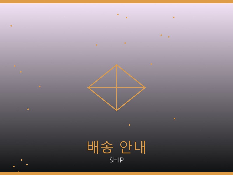 맥시 플랩 레플 배송 이용 안내