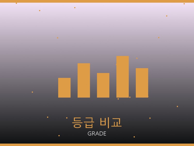 맥시 플랩 레플 등급 기준 비교